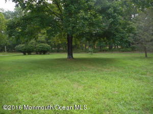 16 Johnson Ln, Jackson, NJ 08527 photo 20