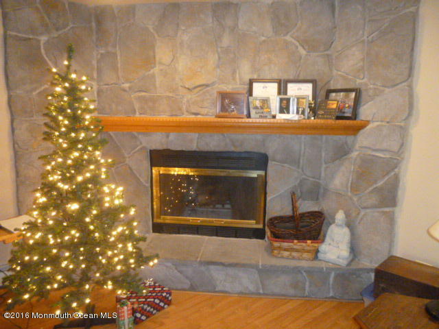 842 Hyson Rd, Jackson, NJ 08527 photo 9