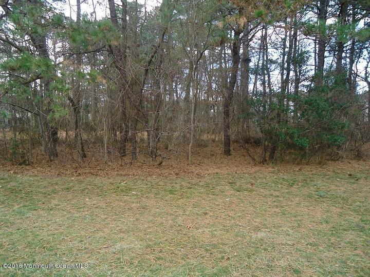 5 Norwick Dr, Forked River, NJ 08731 photo 5