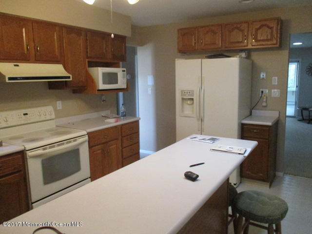 10 Eric Ct, Brick, NJ 08723 photo 12