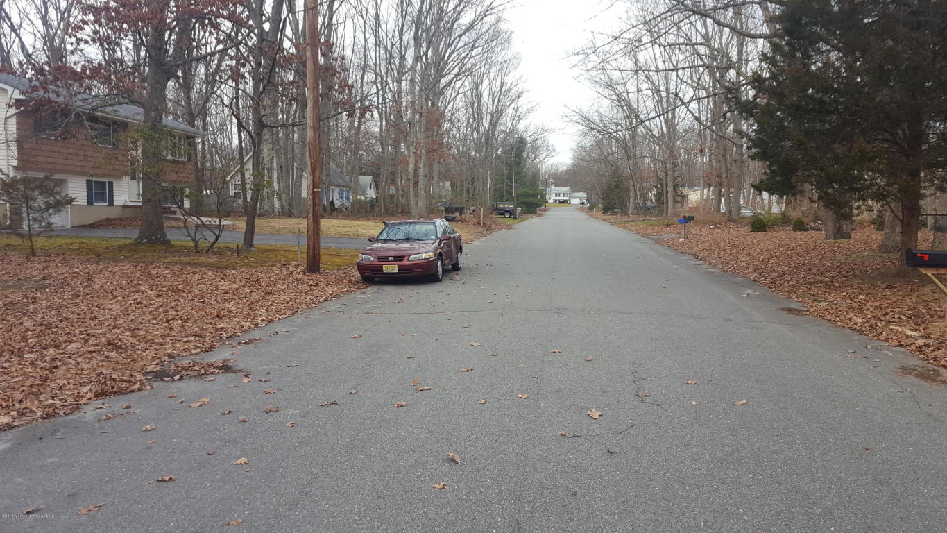 13 Walter Dr, Jackson, NJ 08527 photo 3