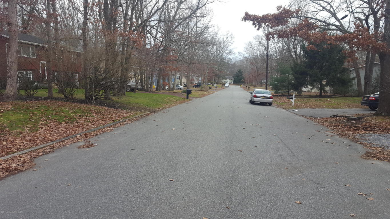 13 Walter Dr, Jackson, NJ 08527 photo 24