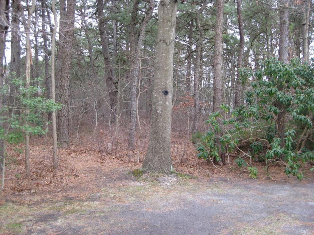 1689 Joffre Rd, Forked River, NJ 08731 photo 9