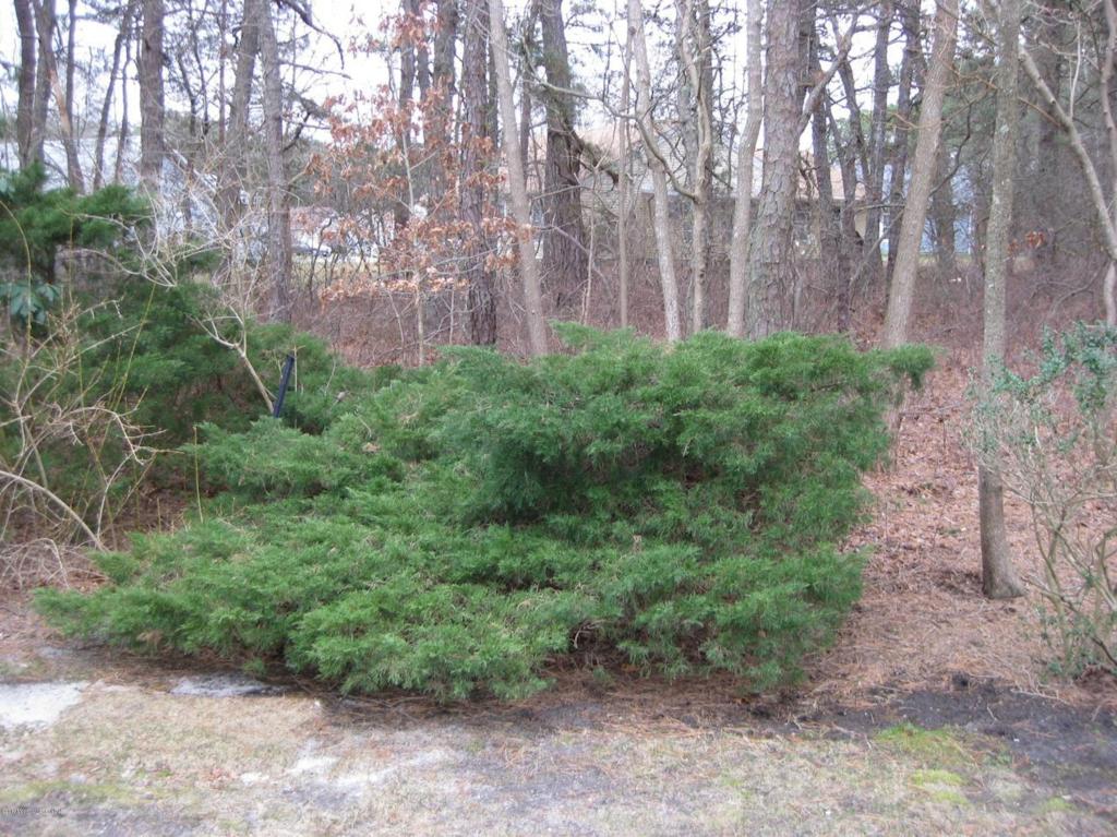 1689 Joffre Rd, Forked River, NJ 08731 photo 8