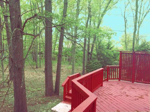44 Pitney Ln, Jackson, NJ 08527 photo 46