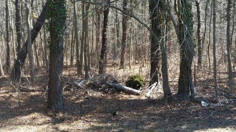 30 Chipmunk Dr, Brick, NJ 08723 photo 12