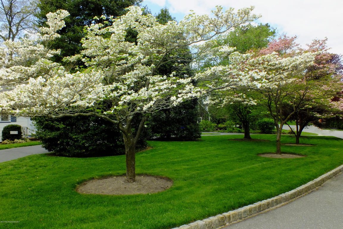 1003 Sunset Dr, Brielle, NJ 08730 photo 22