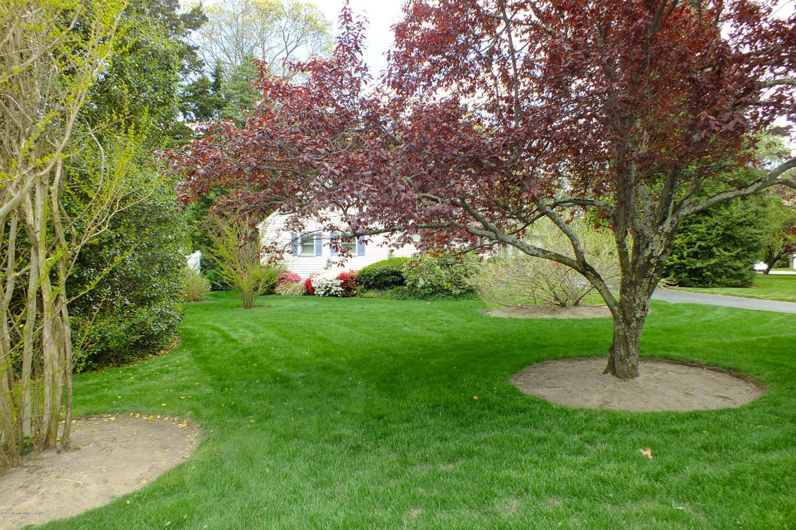 1003 Sunset Dr, Brielle, NJ 08730 photo 23