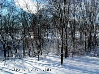 9 Windham Ct, Matawan, NJ 07747 photo 26