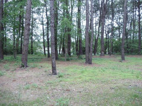 409 Nantucket Rd, Forked River, NJ 08731 photo 17