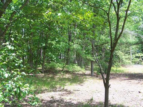 12 Kiwi Loop, Howell, NJ 07731 photo 20