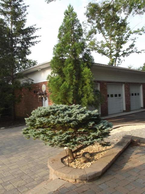 402 Carr St, Forked River, NJ 08731 photo 64