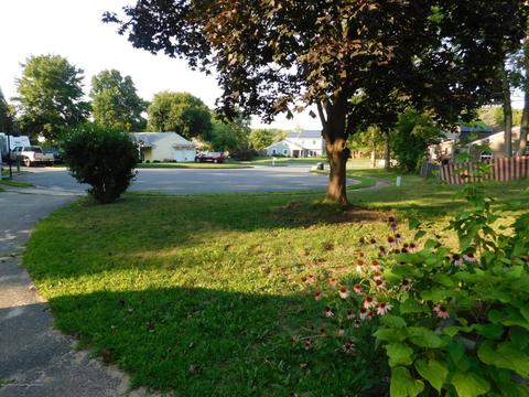 3 Dutch Ct, Forked River, NJ 08731 photo 9