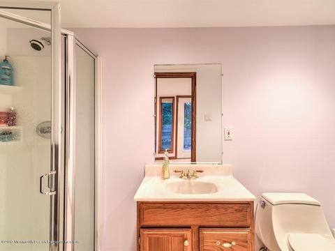 6 Alpine Dr, Millstone, NJ 08535 photo 39