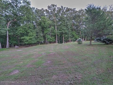 6 Alpine Dr, Millstone, NJ 08535 photo 43