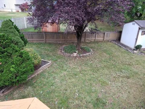 12 Library Pl, Edison, NJ 08820 photo 36