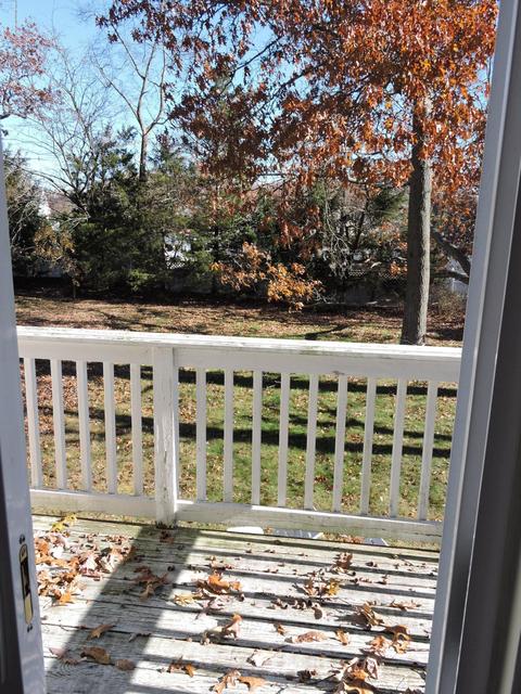 449 Vine St, Brick, NJ 08723 photo 15