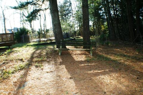 703 Hyson Rd, Jackson, NJ 08527 photo 22