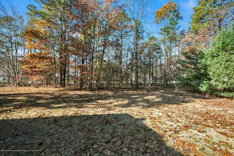 2 Marlin Ct, Jackson, NJ 08527 photo 42