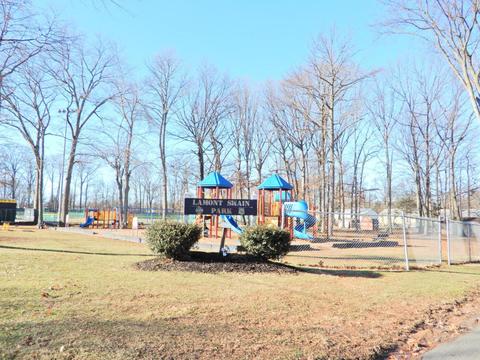 8 E Maple St, Colonia, NJ 07067 photo 24
