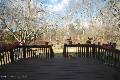 19 New Castle Ct, Jackson, NJ 08527 photo 29