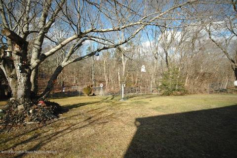 19 New Castle Ct, Jackson, NJ 08527 photo 28