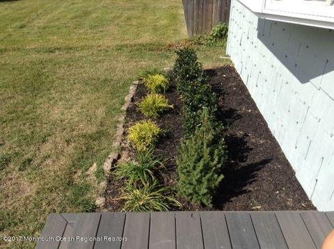 766 Pine Dr, Brick, NJ 08723 photo 3