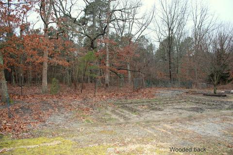 224 Frank Applegate Rd, Jackson, NJ 08527 photo 29