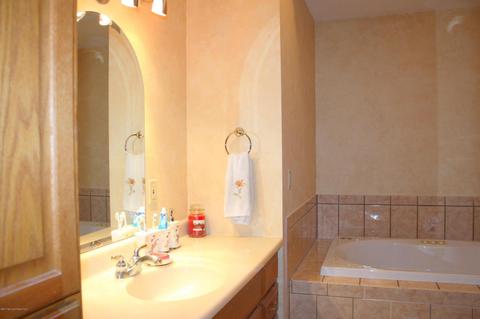 224 Frank Applegate Rd, Jackson, NJ 08527 photo 9