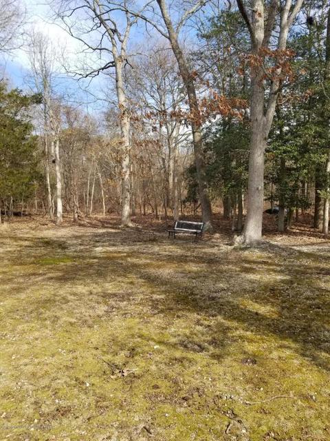 386 Constitution Dr, Forked River, NJ 08731 photo 23