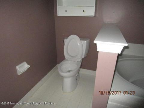 119 Brookfield Dr, Jackson, NJ 08527 photo 12