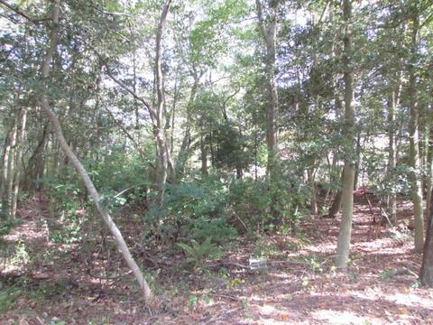 14 Forecastle Way, Waretown, NJ 08758 photo 2