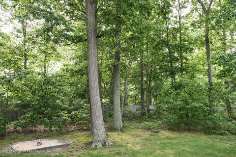 6 Cherise Ct, Jackson, NJ 08527 photo 35