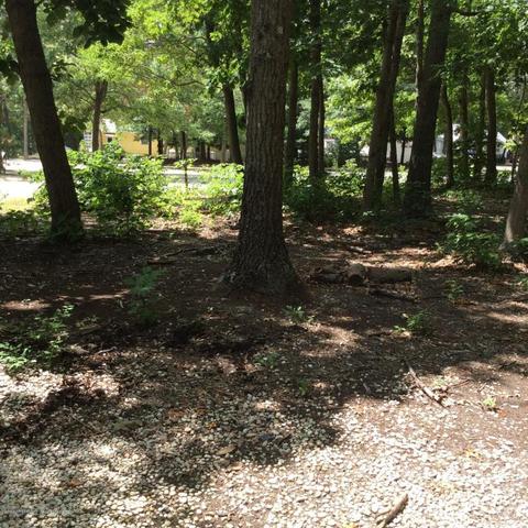 812 Baldwin St, Forked River, NJ 08731 photo 21