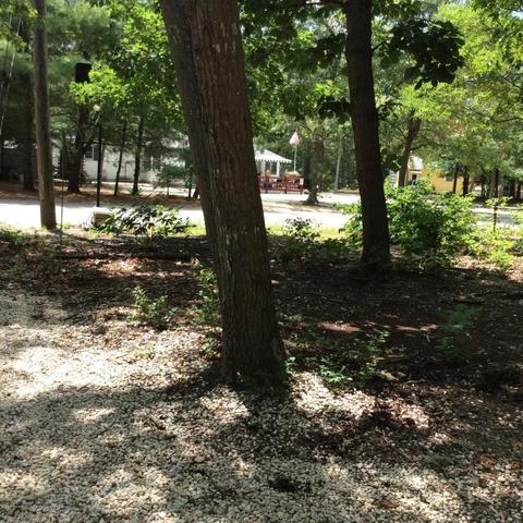 812 Baldwin St, Forked River, NJ 08731 photo 22