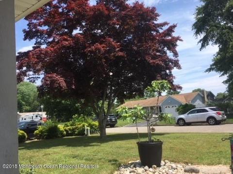 307 4th St, Waretown, NJ 08758 photo 4