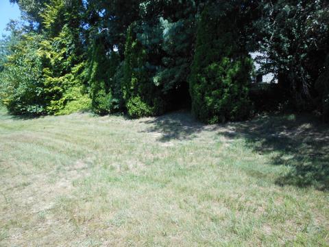 24 Phillips Rd, Brick, NJ 08724 photo 14