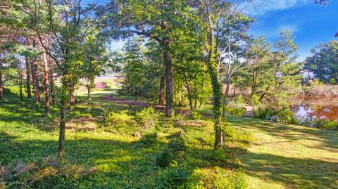 156 Black Point Rd, Rumson, NJ 07760 photo 17