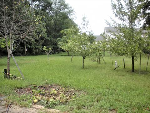 612 Symphony Ct, Jackson, NJ 08527 photo 35