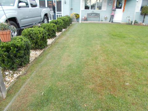 220 Conifer Dr, Forked River, NJ 08731 photo 33