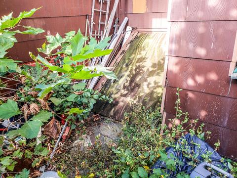 74 Clarendon Pl, Hackensack, NJ 07601 photo 11