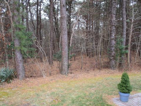 9 Meadowbrook Rd, Brick, NJ 08723 photo 3