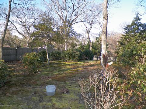 943 Birch Dr, Brielle, NJ 08730 photo 23