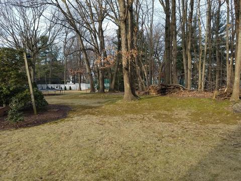 10 Scheid Dr, Parlin, NJ 08859 photo 32