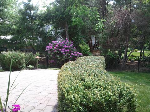 1 Quaker Hill Rd, Jackson, NJ 08527 photo 42