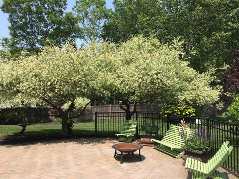 19 Red Fox Dr, Jackson, NJ 08527 photo 48