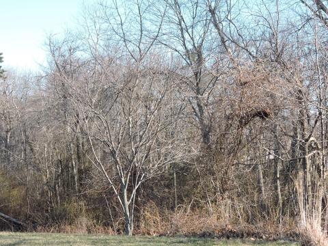 5 Brenner Ct, Brick, NJ 08724 photo 20