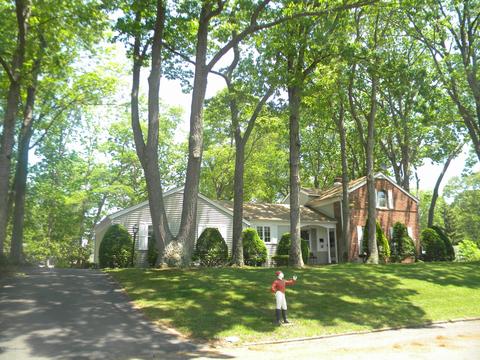 98 Forest Rd, Brick, NJ 08724 photo 41