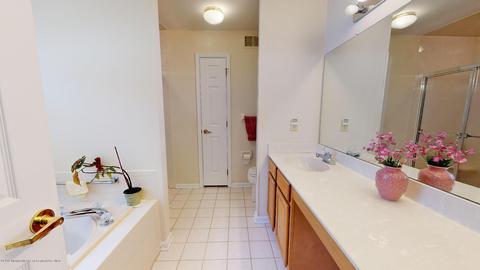 17 Dowing Ln, Jackson, NJ 08527 photo 16