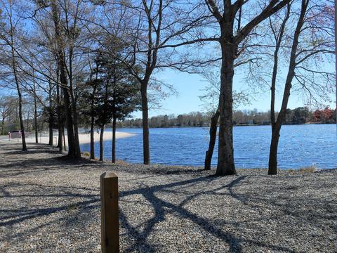 519 Devon St, Forked River, NJ 08731 photo 24